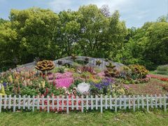 -上海共青森林公园