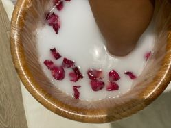 -奥斯芬欧系贵族SPA