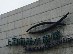 -上海海洋水族馆