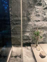 -美壹生皮肤管理中心