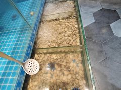 -星伦多自助料理(爱琴海店)