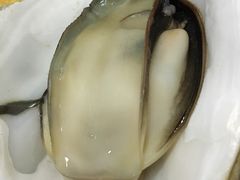 -蚝专家(北滘店)