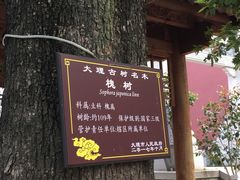 -大理文庙(大理古城)