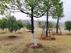 -钟山体育运动公园