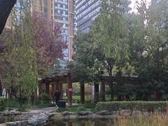 -木塔寺遗址生态公园