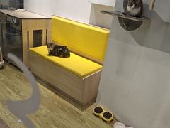 -废柴猫概念馆·桌游电玩卡牌(人广世茂店)