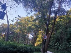 -广州市帽峰山景区