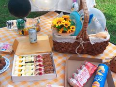 -长白岛森林公园