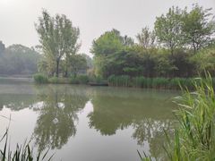 -海淀公园