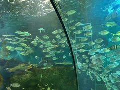 -大明湖海底世界