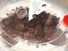 奥利奥黑糖厚乳-奶茶博士(阳春广场店)
