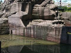 -蛇蟠岛