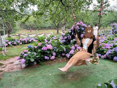 -名花谷生态庄园