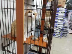 -汪小喵宠物·戴维斯乐芳希施宠馨宝皮毛调理洗护店