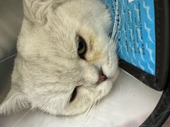 -美联众合24小时·皮肤科·外科·全科诊疗中心(华苑分院)
