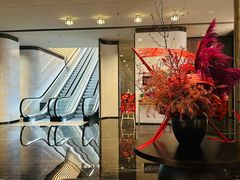 -深圳国际会展中心希尔顿酒店(前海华发冰雪世界店)