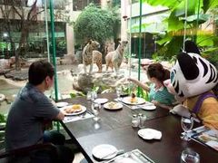 -上海野生动物园老虎餐厅