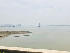 -海鸥岛