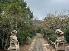 -雨花胜境