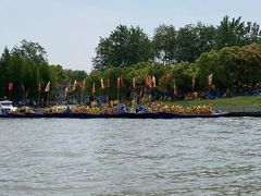 -溱湖国家湿地公园