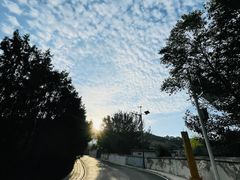 -兰山公园