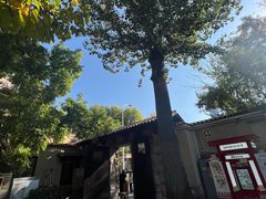 -静园(和平区)