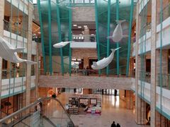 -大族广场Mall&More