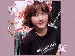 点击看大图 -金棕榈