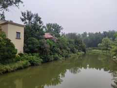 -思念果岭悦温泉