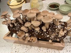 -椰子营·椰子鸡火锅(万象里店)