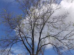 -安徽大学(龙河校区)