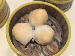 东方虾饺皇-东方早茶 海鲜•青岛菜(国信体育中心店)