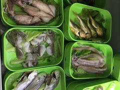 -蚝专家