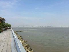 -大湾区中央湿地公园