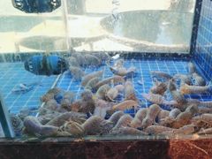 -501號台州海鲜餐厅(海创园店)