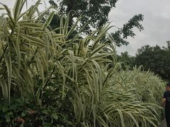 -贵阳市花溪国家城市湿地公园