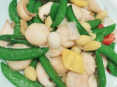 五蔬鲍鱼炒澳带-稻香酒家(天河城店)