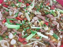 -东吴霸王兔(松青路店)