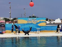 -秦皇岛乐岛海洋王国