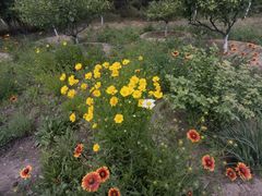 -永定河休闲森林公园