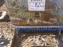-天盛海鲜烧烤大排档·本地小海鲜·牟平腿穗子(幸福店)