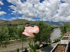 -玫瑰西餐厅.意面披萨.牛排咖啡