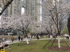 -西北湖绿化广场