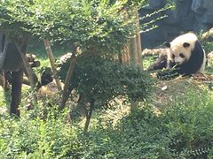 -五龙山野生动物王国
