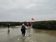 -红树林天天赶海