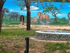 -秦皇岛野生动物园