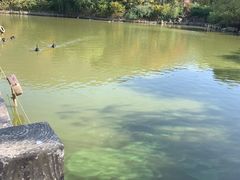 -无锡动物园·太湖欢乐园