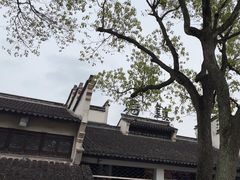 -乌镇景区