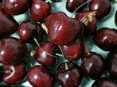 -鲜力达果品批发直销(汇金店)