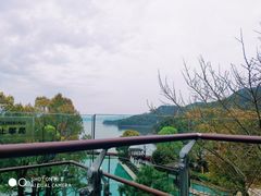 -逸廊大堂吧-千岛湖自由洲际殿